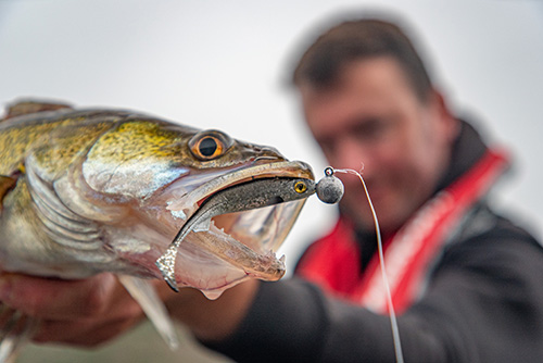 Tackle Up - Carp Fishing Tackle - Coarse, Predator & Sea Fishing